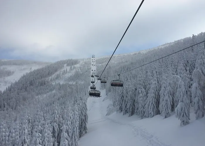 木屋 Pod Beskidkiem *